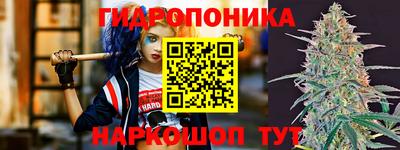 бошки Вязьма