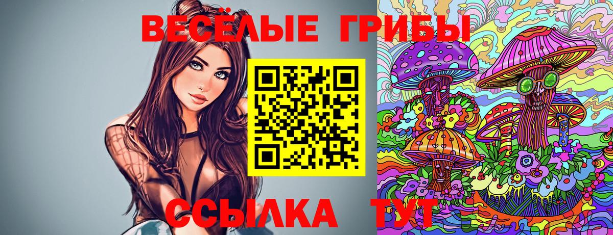 Нижнекамск  Псилоцибиновые грибы GOLDEN TEACHER  Вход с VPN 